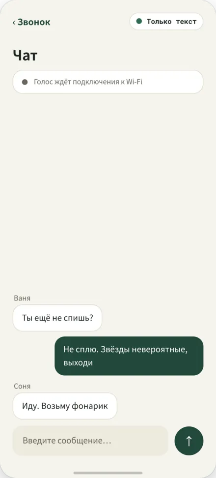 Экран чата